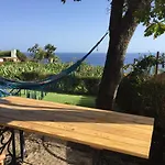 Tropical アルコ・ダ・カリェタ