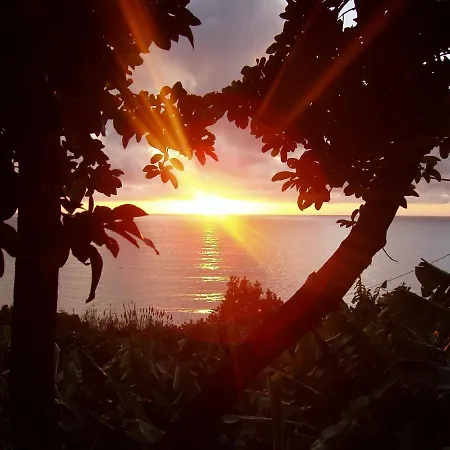 Tropical * アルコ・ダ・カリェタ