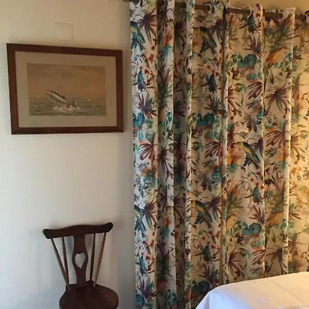 Tropical * Arco da Calheta (Madeira)