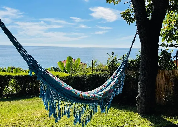 Tropical Dom wakacyjny Arco da Calheta (Madeira)